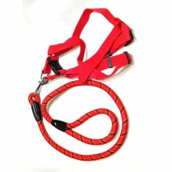 Red Black & Yellow Heavy Duty Dog Belt