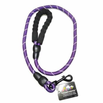 Violet Medium Color Dog Belt