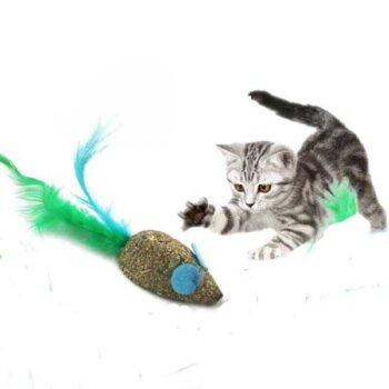 Catnip Toy – Mouse with Feather Interactive Toy