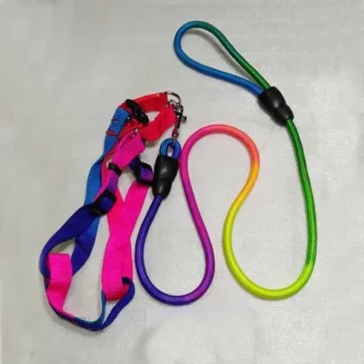 5 Feet Multi Color Dog Belt with Chest
