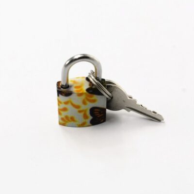 The Flower Padlock 20mm- Blooming Security, Your Delicate Guardian with Two Keys
